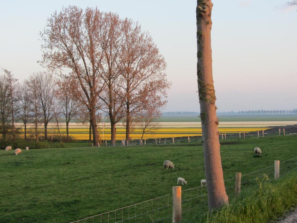 Bed En Breakfast In Het Fruit Zuidoostbeemster Exterior photo